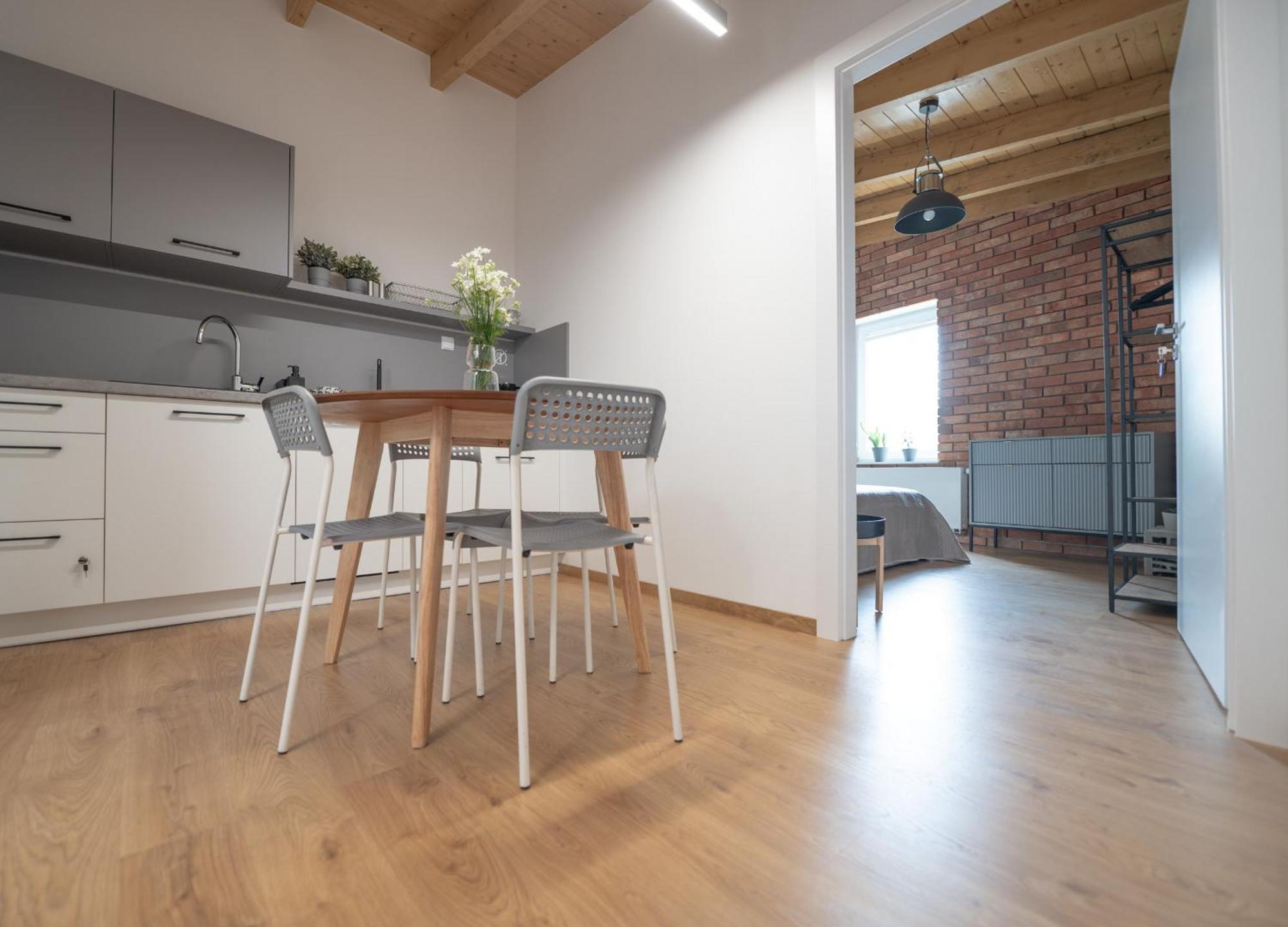 Apartamenty Mlynska 5 Μπιέλσκο-Μπιάλα Εξωτερικό φωτογραφία