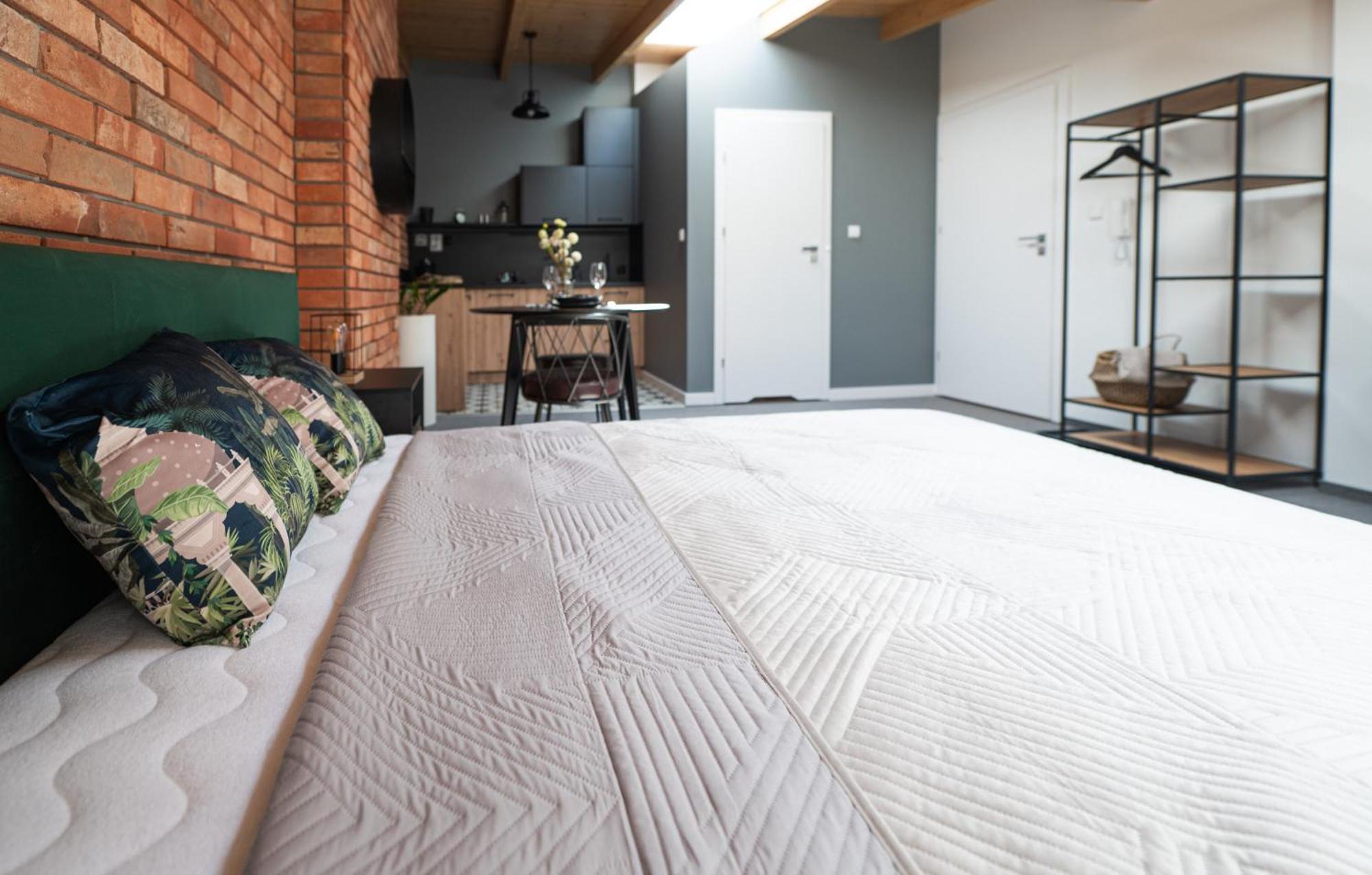 Apartamenty Mlynska 5 Μπιέλσκο-Μπιάλα Εξωτερικό φωτογραφία