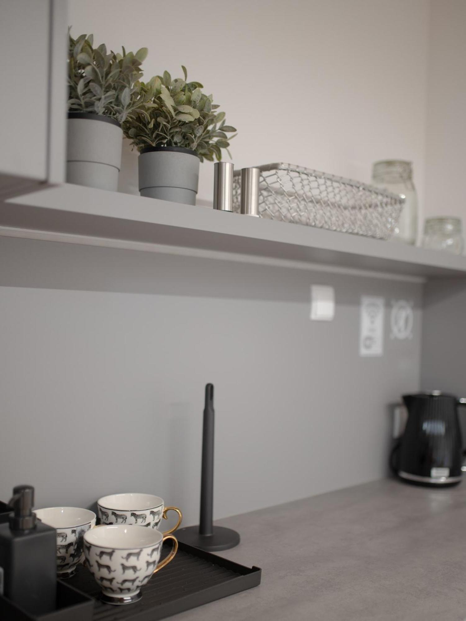 Apartamenty Mlynska 5 Μπιέλσκο-Μπιάλα Εξωτερικό φωτογραφία